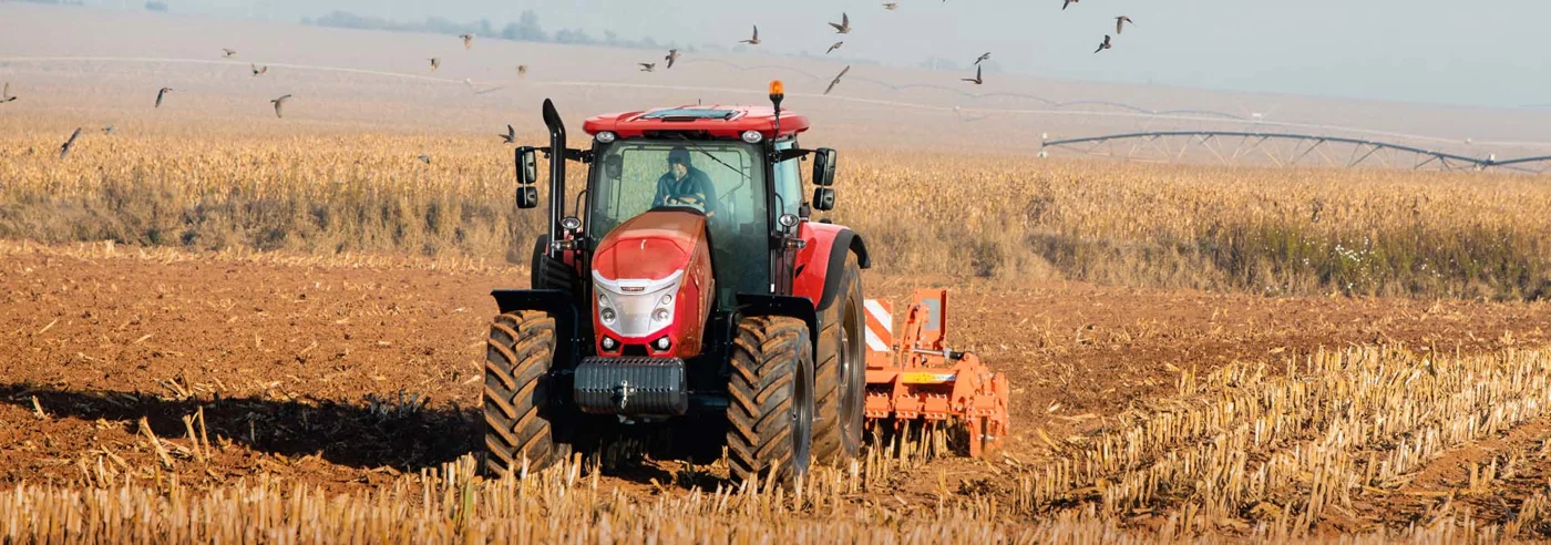 McCormick X6.6